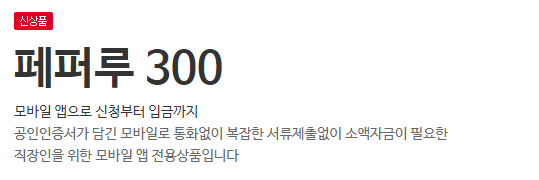 페퍼루 300대출 직장인추천대출