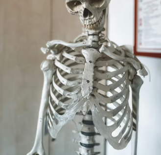 허리 디스크 치료법 진단 기준 예방법