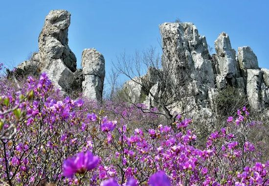 주작산자연휴양림