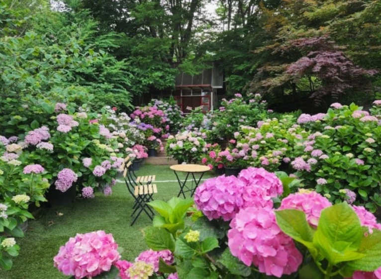 율봄식물원 토마토 축제