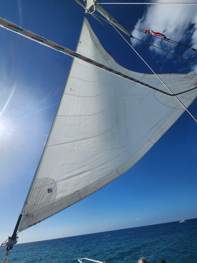 하와이 거북이 스노클링 ( 터틀 스노클링 ) 블루오션 스노클링 돛