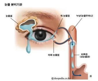 눈물샘 뚫는 수술 간단한가요에 대한 수술정보_3
