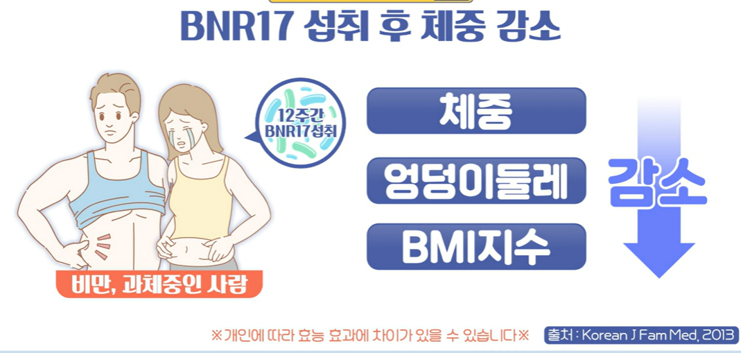 bnr17유산균 효능