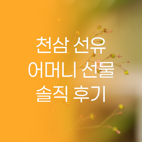 수려한 천삼 선유 기획세트, 왜 어머