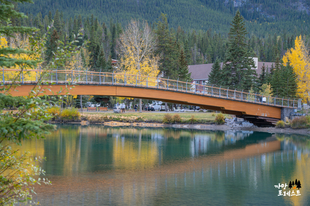 밴프 공원 다리