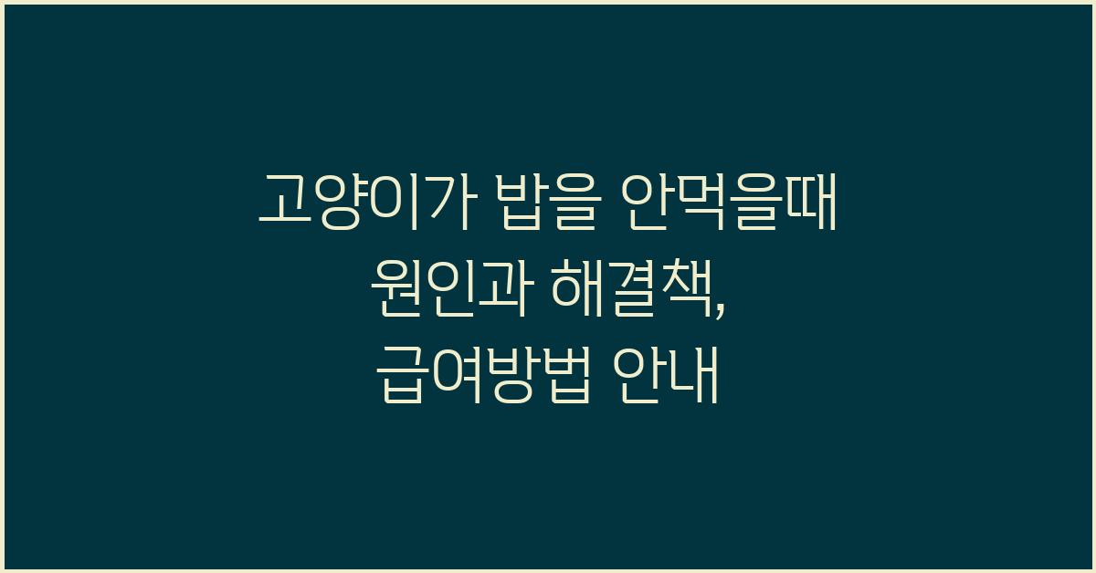 고양이가 밥을 안먹을때