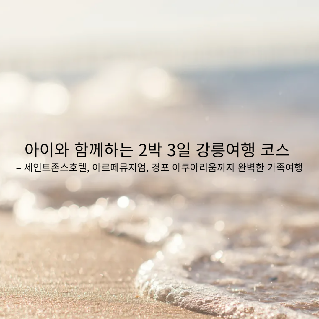 아이와 함께하는 2박 3일 강릉여행 코스 – 세인트존스호텔, 아르떼뮤지엄, 경포 아쿠아리움까지 완벽한 가족여행