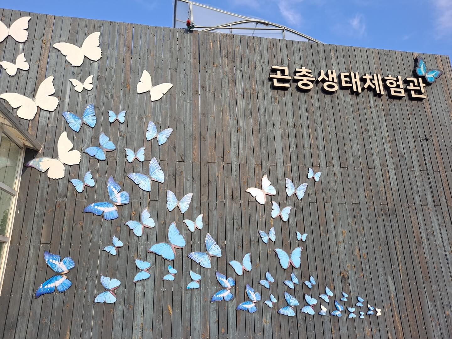 용인 가볼만한곳 곤충테마파크