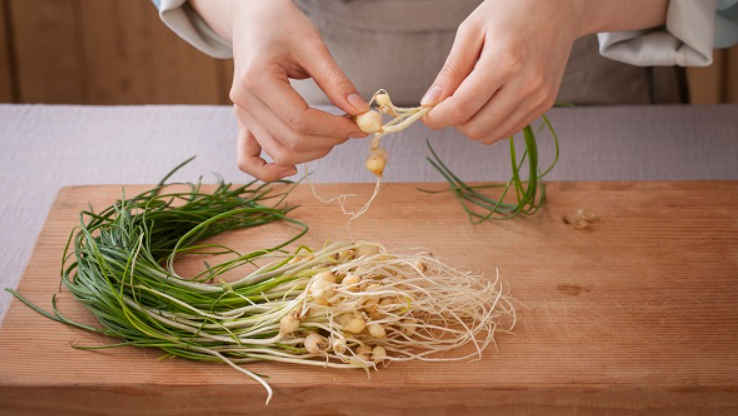 봄제철음식 우리몸을 지켜줄 BEST4