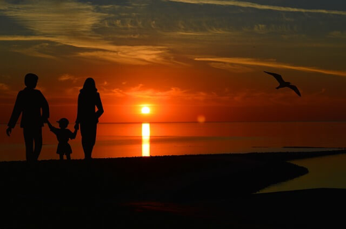 아기 애착형성, 아기 분리불안, 애착형성 시기, 분리불안 시기, 애착형성 방법, 분리불안 대처, 돌아기 분리불안, 신생아 애착형성