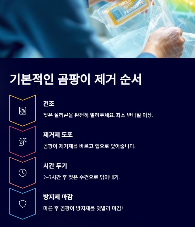 곰팡이 제거 순서