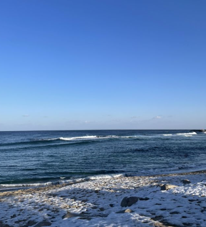 1월 강원도 가볼만한곳 ❘ 국내 겨울 갈만한곳 새해 여행지 추천 ❘ 데이트 여행 가족 실내 나들이 당일치기