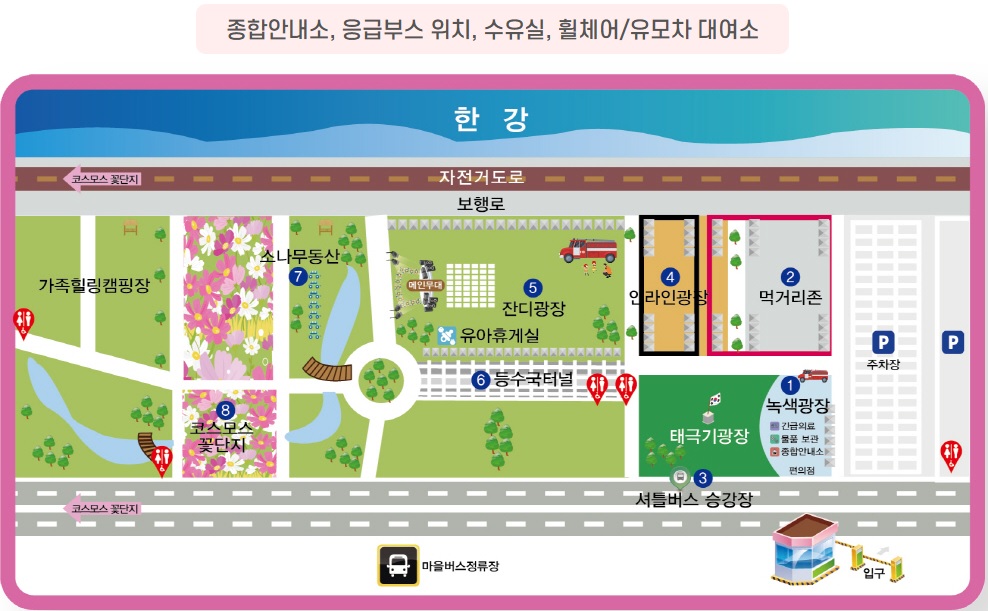 구리 코스모스축제 한강시민공원