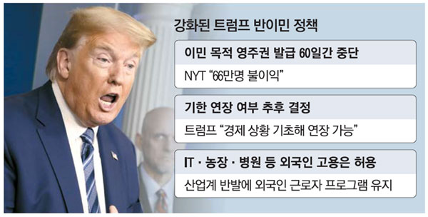 트럼프 재당선시 예상되는 미국 대선 파급효과(미국 대선 트럼프 당선?)