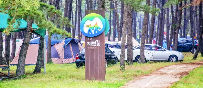 생방송오늘저녁 충남 태안 신박한 네바퀴 여행 여섯 식구도 거뜬 45인승 버스 캠핑카 오토 캠핑장 추천