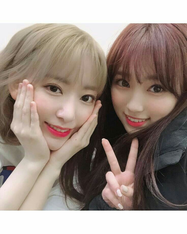 아이즈원 프로듀스48 사진 모음 아이즈원 프로듀스48 사진 모음