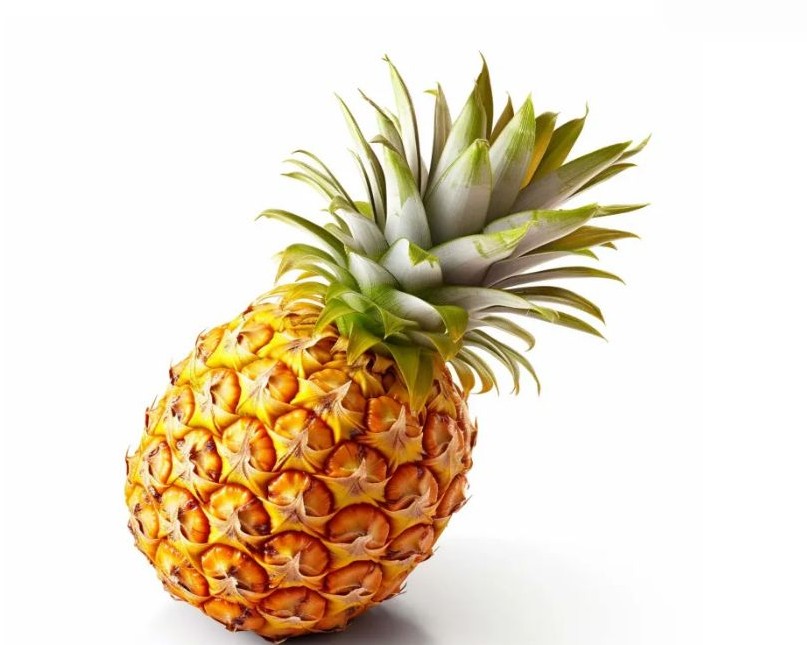 파인애플 효능