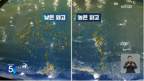 이안류_현상