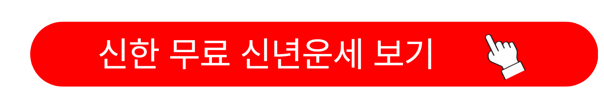 2025년 신년운세