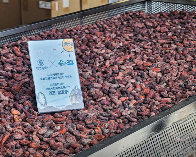 보나테라 대표 메뉴