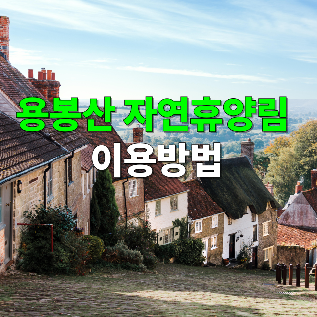 용봉산자연휴양림 예약방법, 주차, 맛집, 즐길거리