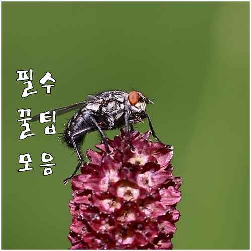 카드 사용 늘리면 정부가 돈 준다? ..