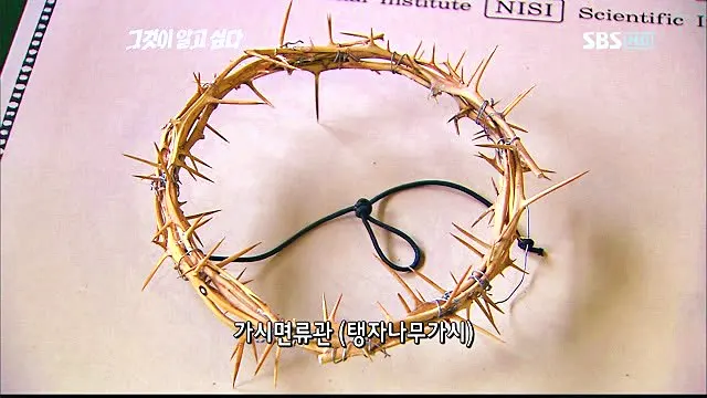 꼬리에 꼬리를 무는 그날 이야기 꼬꼬무 시즌3 문경 십자가 시신 사건의 진실