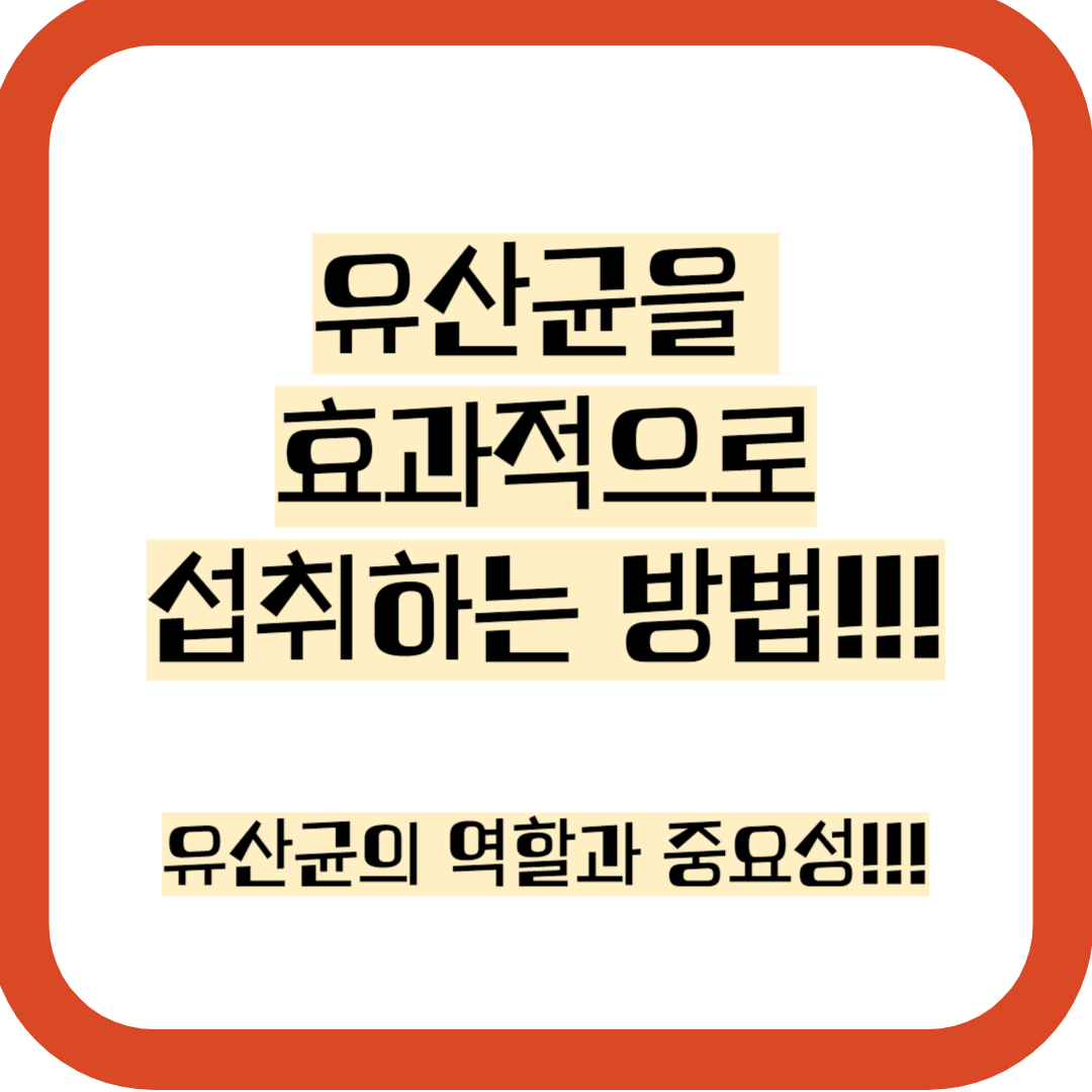 유산균 추천,효능 복용법 정보 총정리