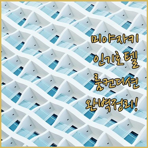 미야자키 타치바나도리 근처 인기 호텔..