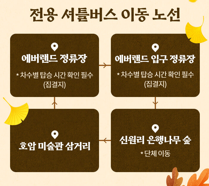  에버랜드 은행나무 숲