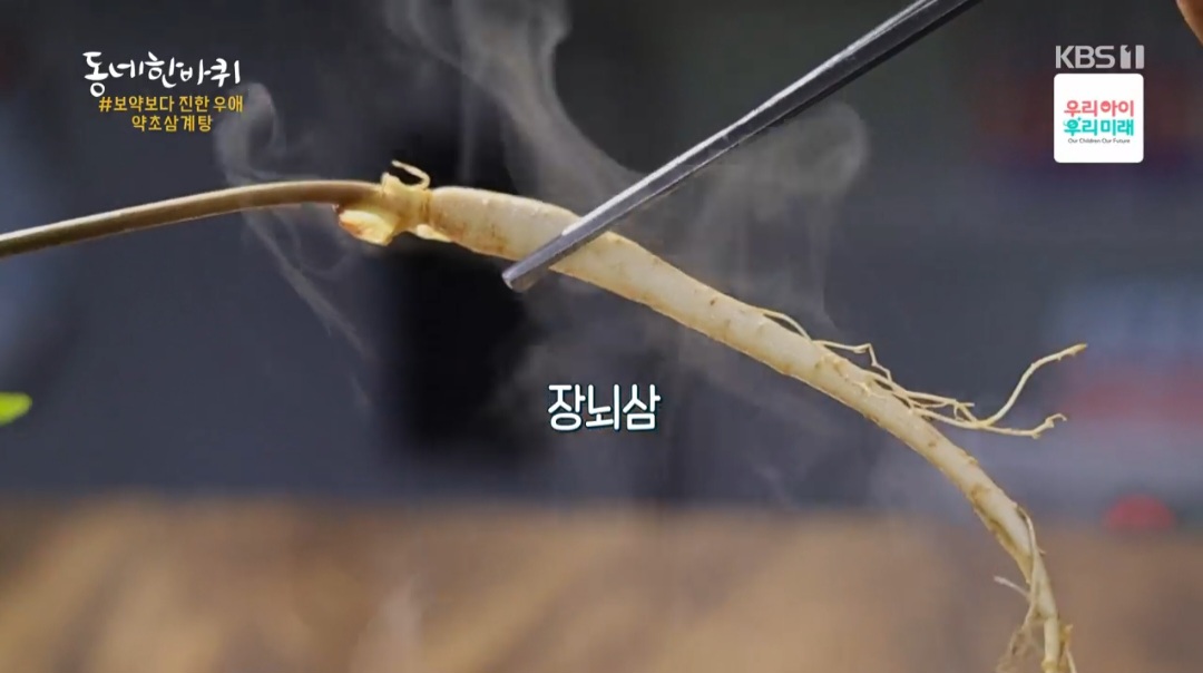 동네한바퀴 신월동 약초삼계탕 맛집 초애삼계탕