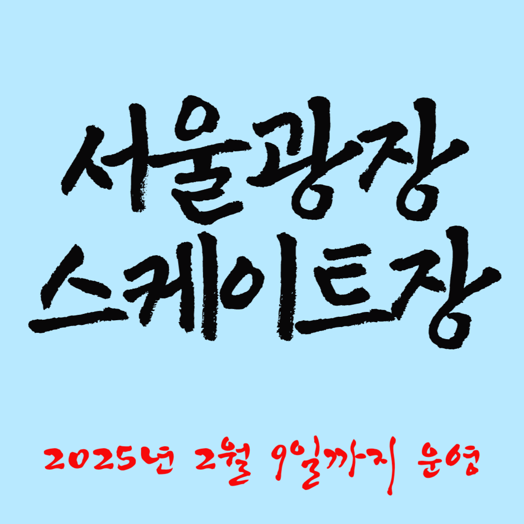 서울광장 스케이트장