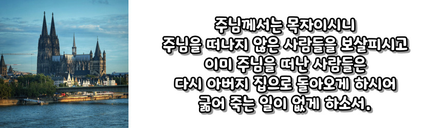천주교 예수 성심 성월 기도문_성월기도