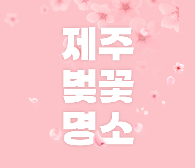 제주도 벚꽃 명소