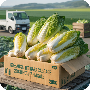  괴산 절임배추 20kg 직거래 가격 이미지