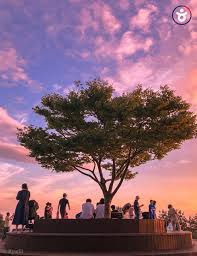 통영 가볼만한곳 - 달아공원