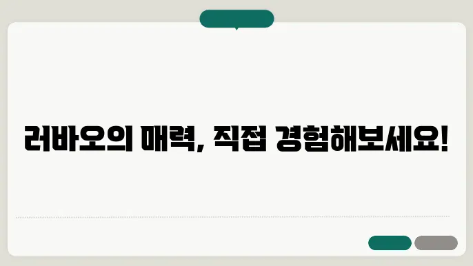 러바오 접객