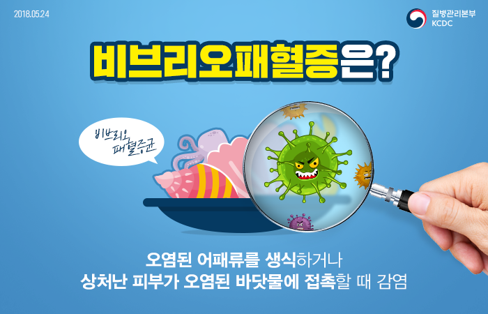 비브리오패혈증 증상 알아보기