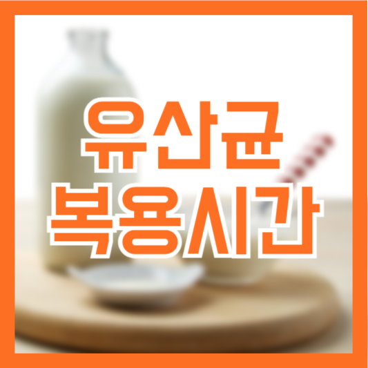 유산균 복용시간 언제 가장 효과가 좋을까!?