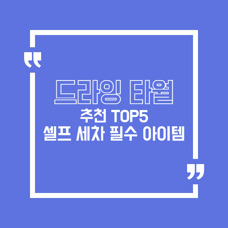 버그크리너 추천, 러브버그 제거 셀프 세차