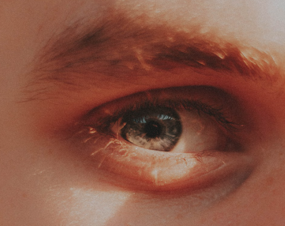 컴퓨터를 바라보는 고대의 눈