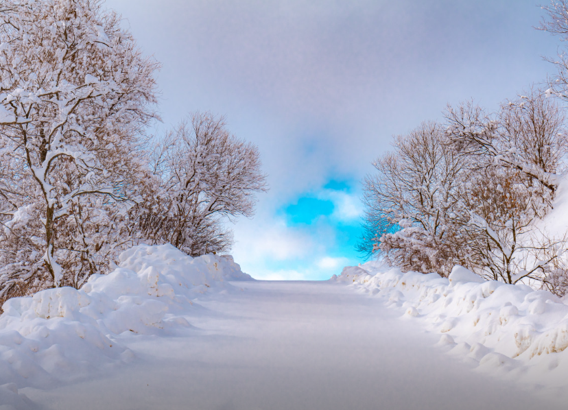 대관령 하늘목장