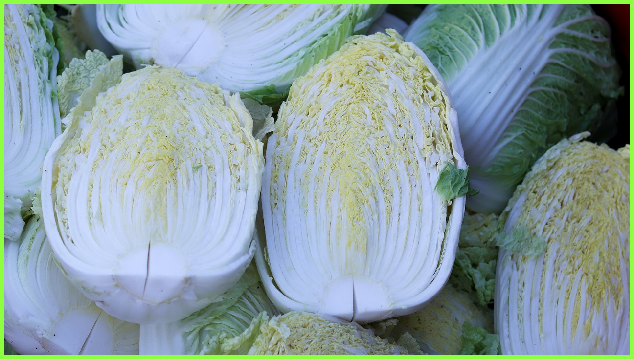 김장 재료 할인 채소 배추 마트 온라인몰 판매 최대 40%