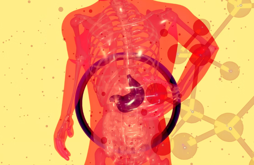 차가버섯 효능 : 간건강