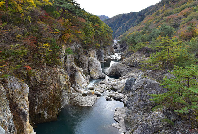 일본