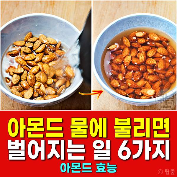 아몬드 물에 불리기 아몬드 물에 불리는 시간 아몬드효능
