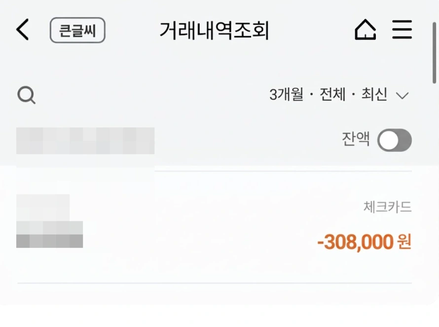 더파인 프리미엄 내돈내산 가격 영수증 인증사진