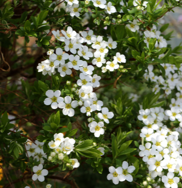 화성 가볼만한곳 베스트10