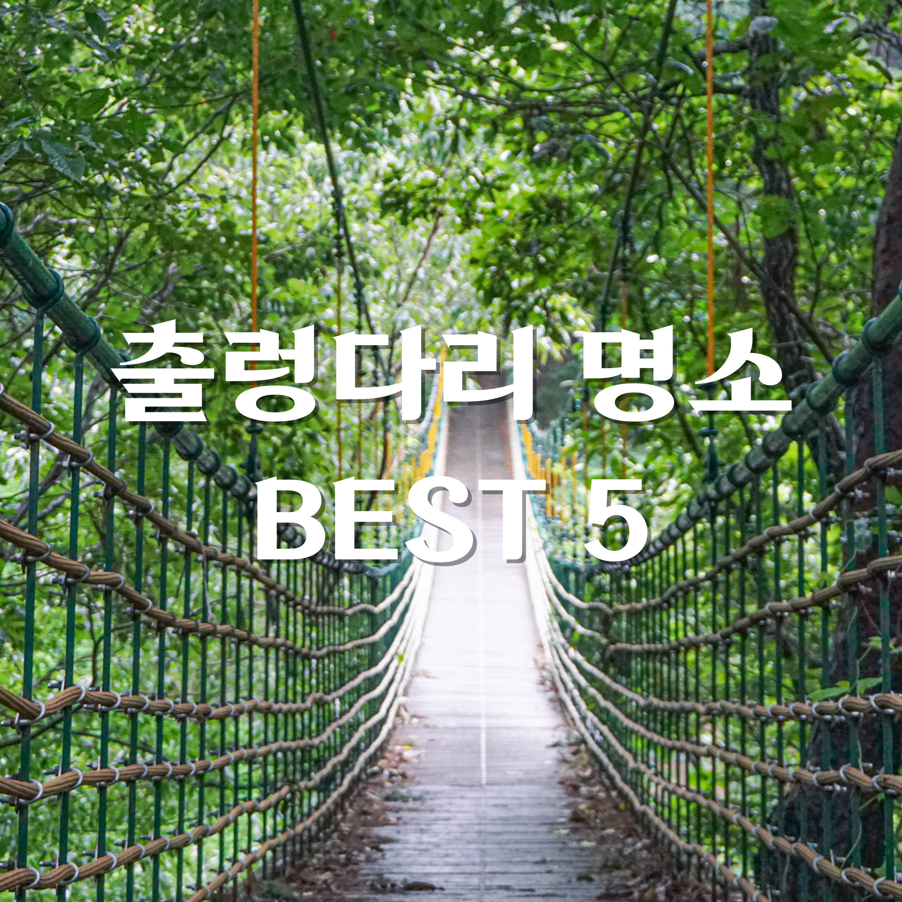 출렁다리