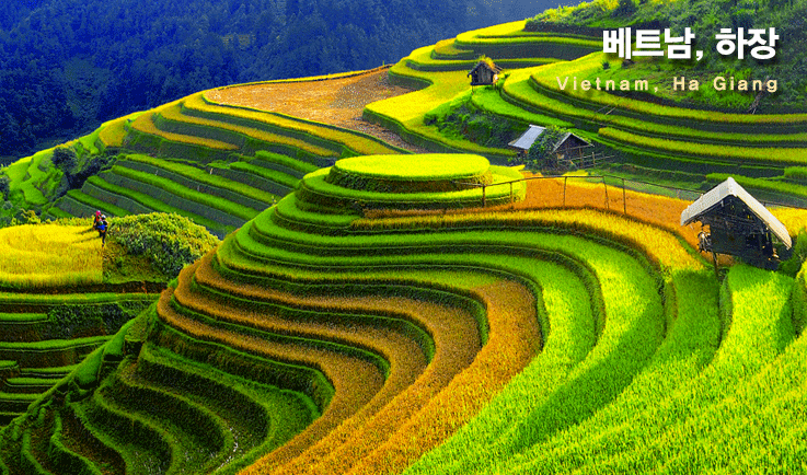 베트남 하장